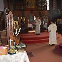 Света Архијерејска Литургија и освећење грожђа у Химелстиру