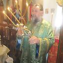 Почетак Црквене Нове године и празник Преподобног Симеона Столпника у Епархији врањској