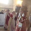 Архијерејска литургија у Дишнику