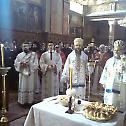 Слава Богословије Светог Арсенија у Сремским Карловцима