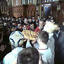 Patron Feast's Day of Seminary of St. Arsenije in Sremski Karlovci