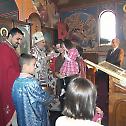 Слава и освећење живописа цркве Светог Димитрија у Виндсору 