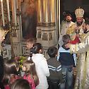 Archbishop Jovan serves the Divine Liturgy in Novi Sad