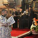 Two-year commemoration to Patriarch Pavle of blessed repose