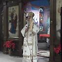 Патријарх Иринеј у посети Српској Православној Цркви у Америци