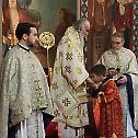 Liturgical gathering in Belgrade's Cathedral church