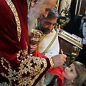 Patriarch Irinej serves in Church of the Mother of God in Zemun