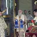 Biennial on the throne of Serbian Patriarchs