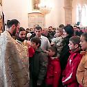 Saint Sava's Day in the Diocese of Budimlje-Niksic