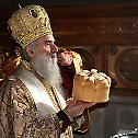 Патријарх Иринеј служио у цркви Светог Марка