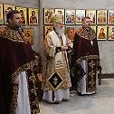First visit of Patriarch Irinej to Mirijevo