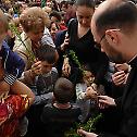 Прослава празника Цвети у епархијама Српске Православне Цркве