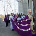 Прослава Благовести и Лазареве суботе широм Српске Православне Цркве