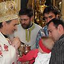 Bishop Atanasije serves in the church of the Nativity of the Most Holy Theotokos in Zemun