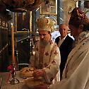 Holy Assembly of Bishops of the Serbian Orthodox Church begins with Divine Liturgy