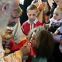 Serbian Patriarch Irinej enhanced slava of Rajinovac monastery