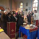 Прослава Свете Параскеве у Војнићко-коларићкој парохији 