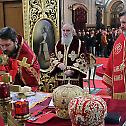 Liturgical gathering in Cathedral church
