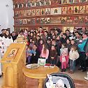 Прослава Светог Саве у Далмацији 