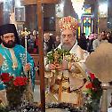 News from Patriarchate of Alexandria and All Africa