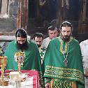Свети Симеон Мироточиви свечано прослављен у манастиру Студеници 