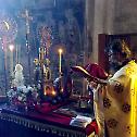 Молитвено прослављен Преподобни Антоније Велики у манастиру Ђурђеви Ступови