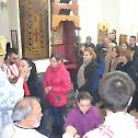Литургијско сабрање у Бујановцу и освећење крстова у Лопардинцу 