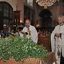 Прослава Лазареве суботе у Жабљу