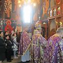 Света архијерејска Литургија у Трновици