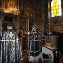 Исповест свештенства подунавског намесништва