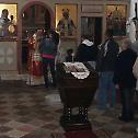 Света Литургија у Шибенику