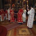 35th anniversary of the episcopal service of Bishop Vasilije of Srem 
