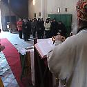 Празник Свете Ане у Епархији славонској