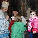 Central celebration of the Nativity of Christ in Gracanica 