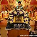 У Америку из Русије стигла икона Пресвете Богородице "Умекшање злих срца" 