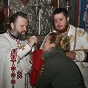 Епископ Давид посетио Епархије далматинску и горњокарловачку