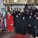 Сабор монахиња у манастиру Ждребаоник