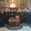 Исповест свештенства у Боровом Насељу
