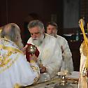 Patriarch Irinej serves the Holy Liturgy in Monastery of Most Holy Mother of God in Himmelstür
