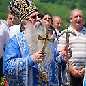 Епископ зворничко-тузлански у Младиковинама