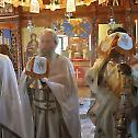 Литургија у Доњем острошком манастиру на празник Светих седам мученика у Ефесу
