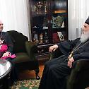 Audience at the Serbian Patriarchate - 4 August 2014