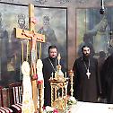 Proclamation of Bishop Ilarion of Timok