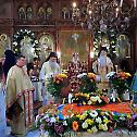 Обележен спомен на Светог Димитрија Чудотворца у Видину