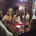 Metropolitan Porfirije officiated the Holy Liturgy in Ljubljana