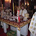 Празник Светог Григорија Чудотворца у Карловцу 