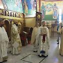 Saint Sava Day in Phoenix
