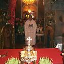 Прослављен Свети Сава у Рогачици