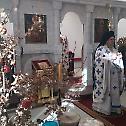 У Загребу прослављен Свети Доситеј Исповедник