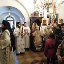 Митрополит Амфилохије у Недјељу по Богојављењу одслужио Литургију у Цетињском манастиру